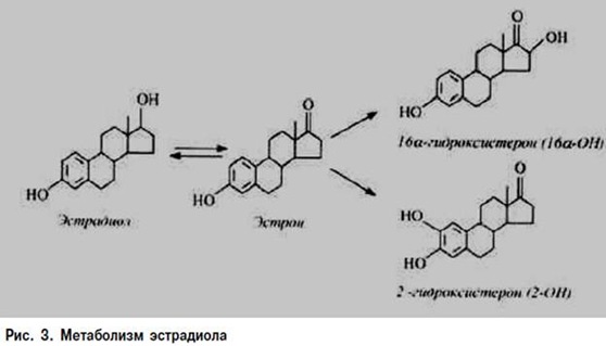 Доклад: Современные подходы к диагностике папилломавирусной инфекции гениталий у женщин